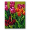 Amapolas