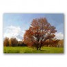 Sfumato Árbol