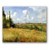 Un Campo de Centeno