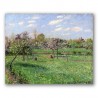 Primavera al Alba y Nublado