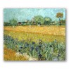 Campo con Flores