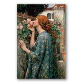 El Alma de la Rosa