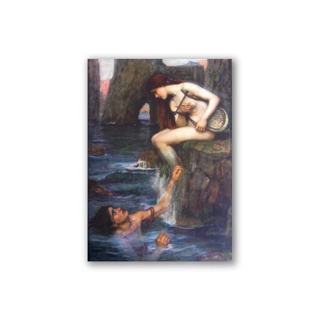 The Siren