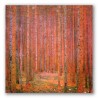 El Bosque de Pinos