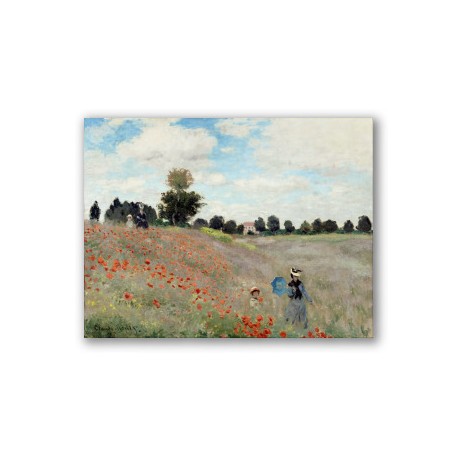 Campo de Amapolas