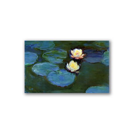 Water Lilies