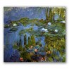 Lilas de Agua